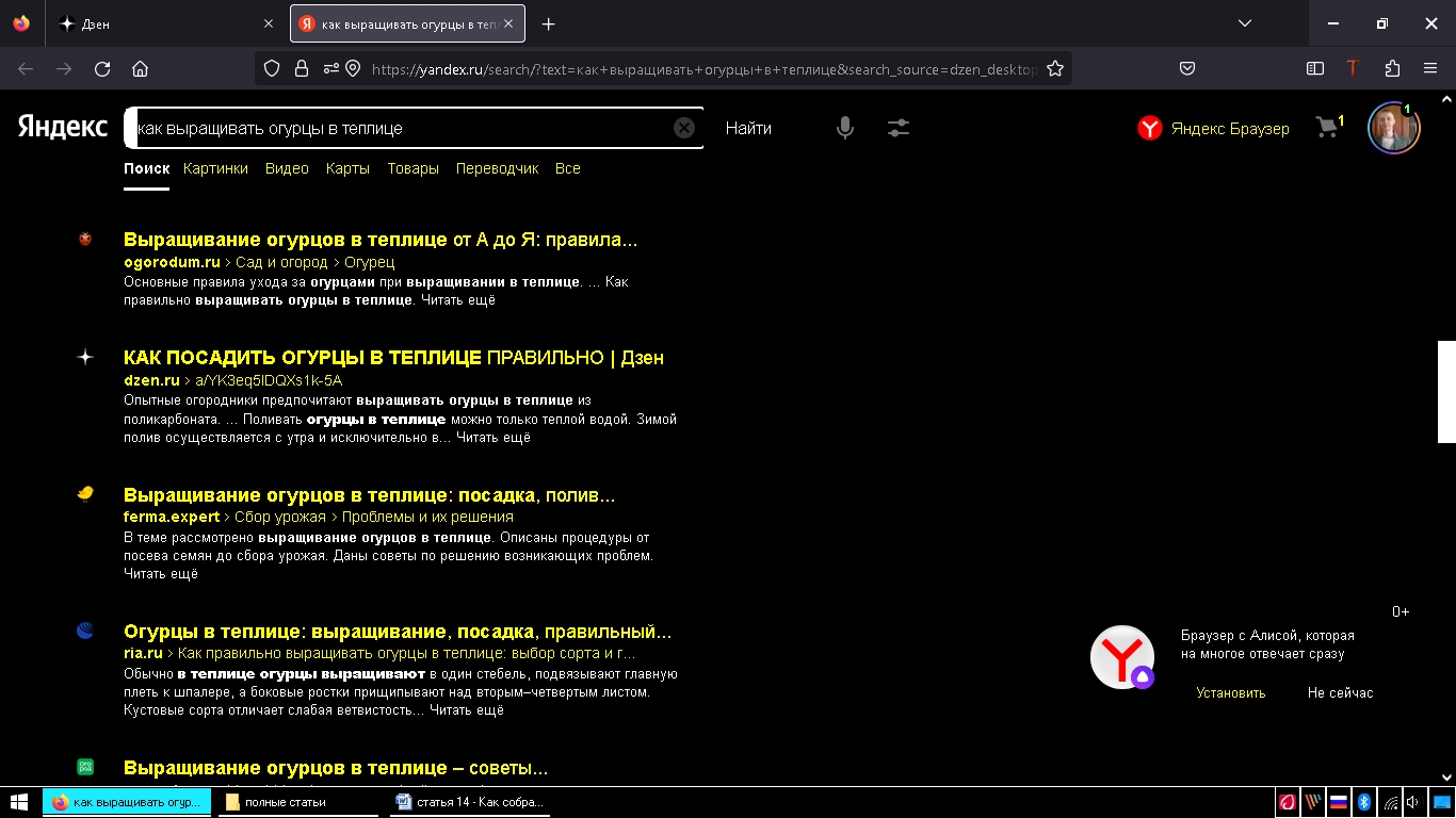 поиск в яндексе огурцы